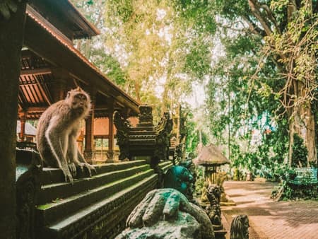 Ubud Nature and Culture: Monkey Forest, Tegalalang Rice Terraces and more – Full-Day Tour