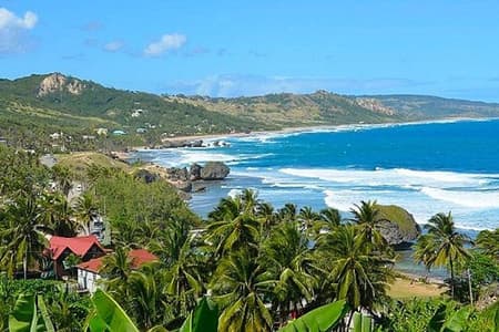 Tour por la isla de Barbados con almuerzo y santuario de vida salvaje