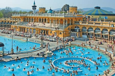 Entrada al balneario Széchenyi y experiencia Pálinka con guía