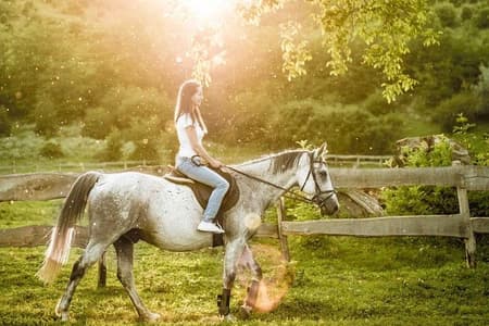 Tour a Cavalo com degustação de vinhos de Siena