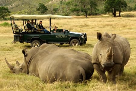 3 Day Private Best of the Garden Route Highlights Tour Safari from Cape Town