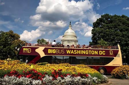 Big Bus Washington DC Hop-on-Hop-off-Tour