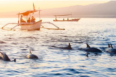 Bali Dolphin Watching & Sunrise at Lovina Beach – Full Day