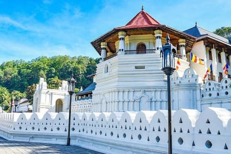 Kandy City Tours - Most Popular Tour