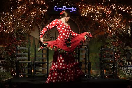 Flamenco Show and Special Menu at Torres Bermejas in Madrid