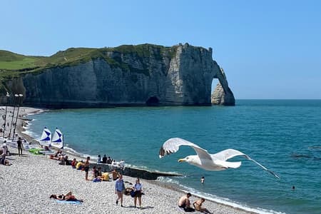 Normandy: Rouen, Honfleur, Etretat Small-group by Minivan with Calvados tasting
