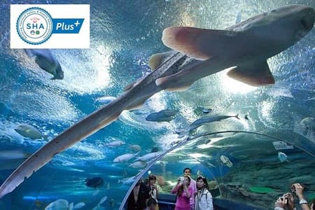 Skip-the-Line Underwater World Pattaya Ticket