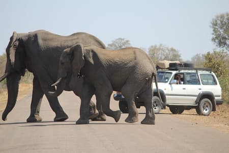 Pilanesberg National Park Safari, Sun City, Hartbeespoort Dam
