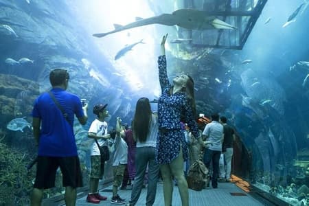 Aquarium and Underwater Zoo Dubai Mall