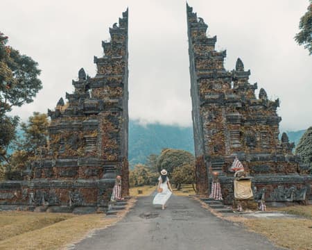 Sunrise Dolphin & Waterfall Experience