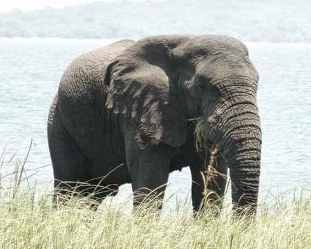 MAPUTO SPECIAL RESERVE