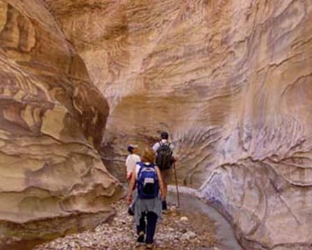 Dana Biosphere Reserve Hiking Trails