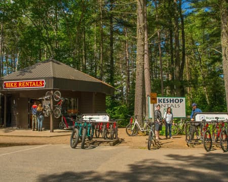 Algonguin Bike Rentals (4 hours)