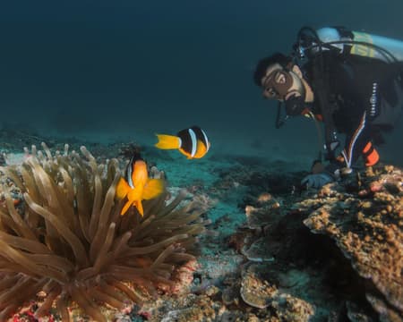 Dive Trip To Daymaniyat Islands | Explore underwater wonderland