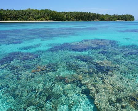 Bahía de los Delfines, Cayo Coral y Cayo Zapatilla