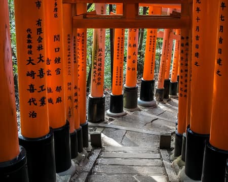 Full Day Tokyo Tour with English Speaking Guide (Private)