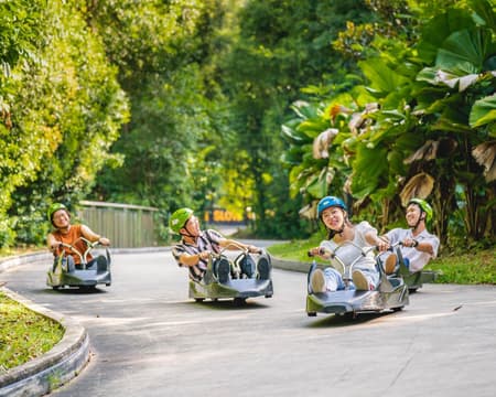 Sentosa 1: CC+Luge+4D(any2)+MT(4in1)+WOT (Daily)