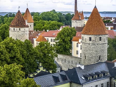 Tour en Privado en Tallin de Medio Día con Recogida