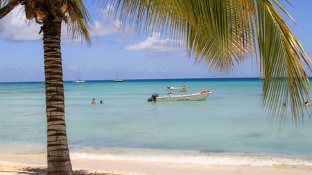 Saona Island Tour with Lunch from Punta Cana and Bavaro Beach with Pick-up