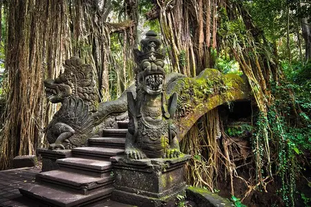 All-Inclusive Ubud Private Tour