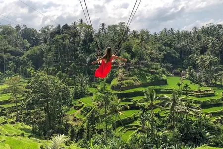 Ubud: Floresta dos Macacos, Balanço na Selva, Terraço de Arroz e Templo da Água