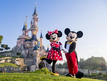 Train and Disneyland® Ticket