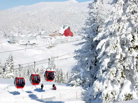 Nature trip in Green Bursa with Cable Car - Full-Day Tour