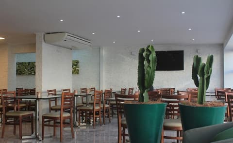 Baía Branca Porto de Galinhas