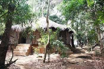 Daltons Banana Guesthouse (Adults only)