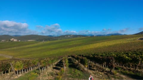 Il Pozzo Della Citerna