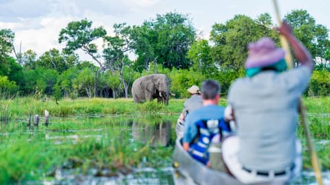 Discover Botswana & Victoria Falls