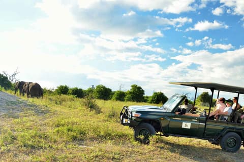 Discover Botswana & Victoria Falls