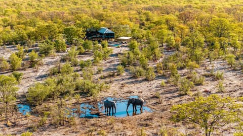 Discover Botswana & Victoria Falls