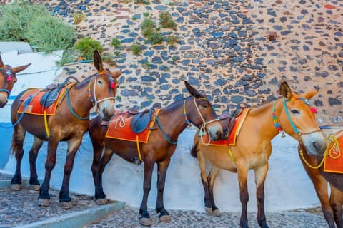 Fuga di 2 giorni a Santorini da Heraklion