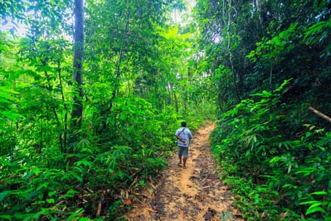 Khao Sok Discovery, Private Tour