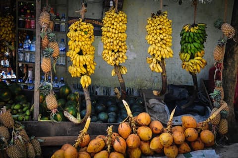 Tour privado de 2 días por Kandy