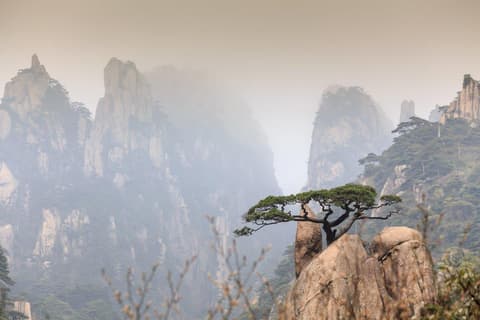 Escapada a la ciudad de Huangshan, Tour Privado