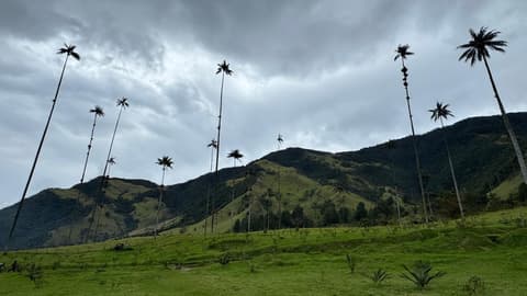 Los colores de Colombia, 12 días: Bogotá, Eje Cafetero, Medellín y Cartagena