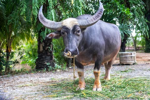 Central Thailand Highlights in a Loop 3 Days, Private Tour 