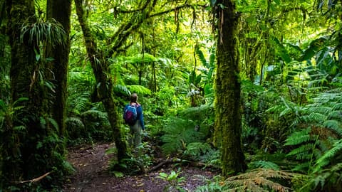 Parques Nacionais da Costa Rica com Guanacaste — Visita Regular
