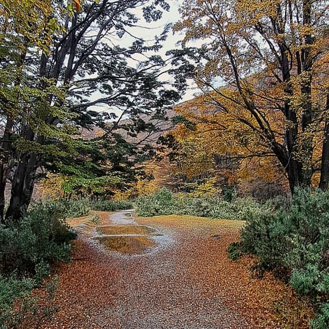 4-Day Classic Ushuaia: Tierra del Fuego National Park, French-speaking guide