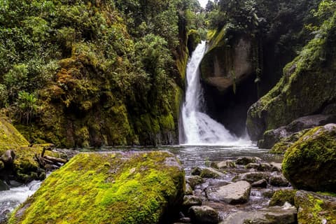 Costa Rica: Land of Volcanoes and Rainforests, French-speaking guide