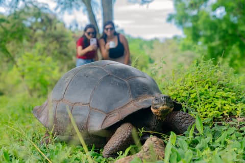 6-Day Galapagos Escape: Volcano Trails & Wildlife Encounters, French-speaking guide