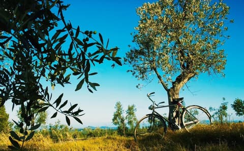 Assaggio privato della Toscana di 2 giorni: colline, tartufi ed esperienza culinaria