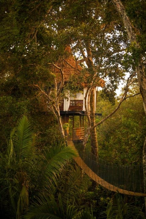 Treehouse Lodge, escapada corta (bajo petición)
