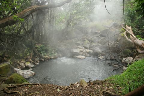 Costa Rica: Living Wonders, French-speaking guide