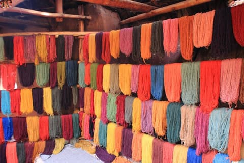 Sur Esencial, Tour Privado