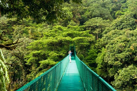 Two Icons of Costa Rica: Arenal & Monteverde Family Adventure