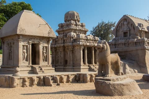 Discover the South of India, French-speaking guide