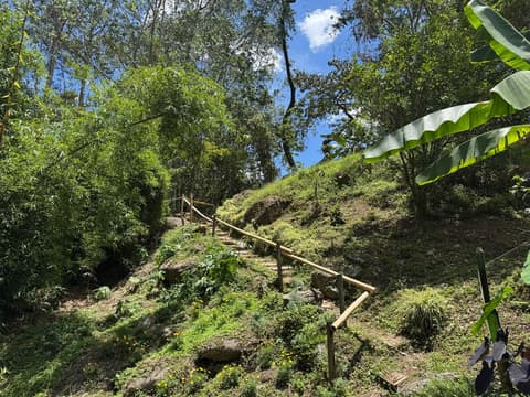 Experiencia cultural privada de 2 días en Medellín: de las tradiciones del café a los ritmos urbanos